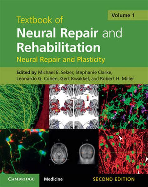 Textbook Of Neural Repair And Rehabilitation By Michael Selzer