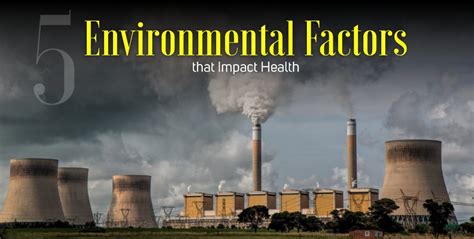 Environmental Factors Affecting Health