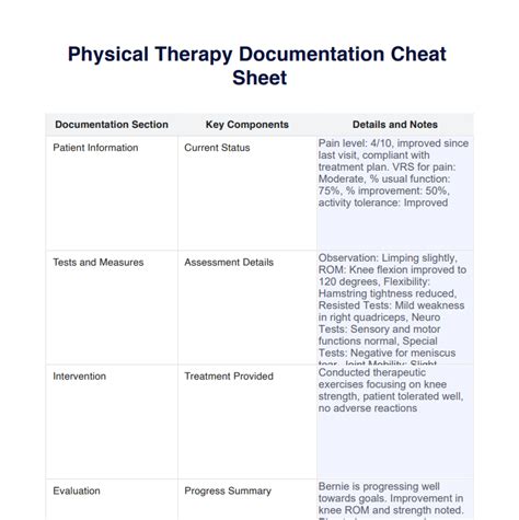 Physical Therapy Documentation Cheat Sheet And Example Free Pdf Download