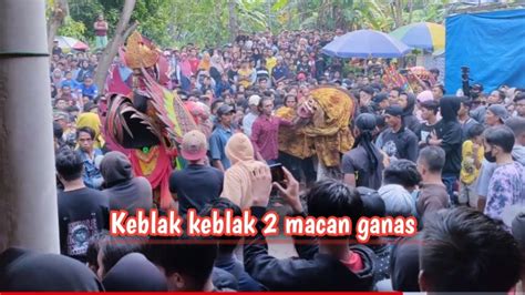 Terbaru Keblak Keblak Jaranan Tresno Budoyo Live Bulusan Youtube