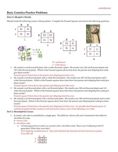 Genetics Practice Problems Worksheet