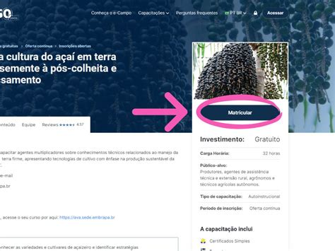 Cursos Gratuitos Embrapa Conhecimento Inovador para a Agropecuária