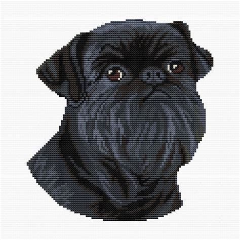 Brussels Griffon Cross Stitch Pattern Code An 220 Anna Nolfina Buy