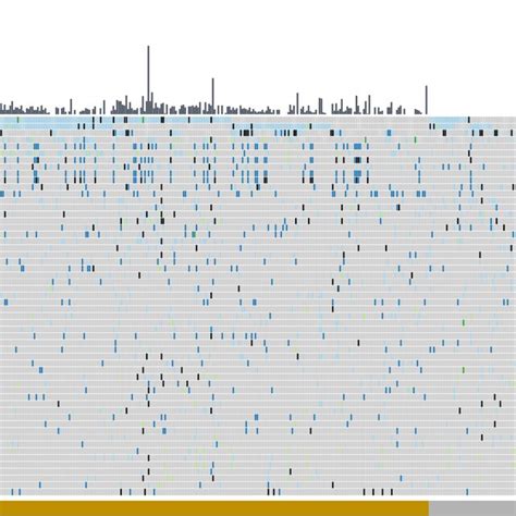 Heatmap Showing The Landscape Of Genomic Alterations In Baseline Tissue