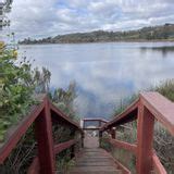 Lake Miramar Trail, California - 3,559 Reviews, Map | AllTrails