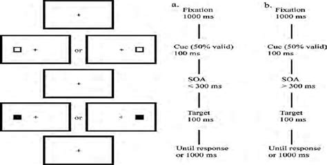 The Sequence Of Events In The Exogenous Cueing Task Download