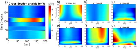 The Spatio Temporal Maps Of W Displacement In The Crossection L Of The