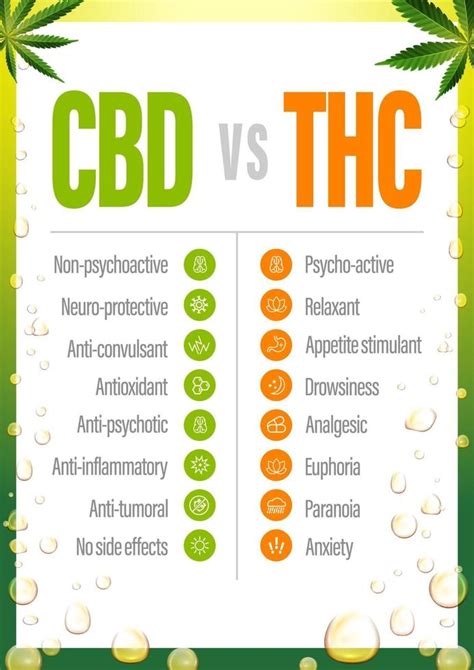 Cbd Vs Thc P Ster Con Comparaci N Cbd Y Thc Lista De Diferencias Con