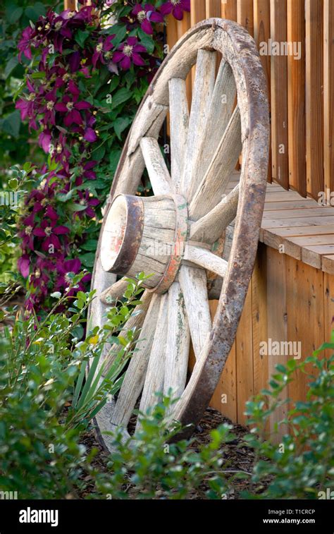 Old wagon wheel against fence in flower garden for decoration ...