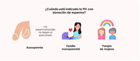 Cómo es embarazo por FIV con óvulos propios y semen donante