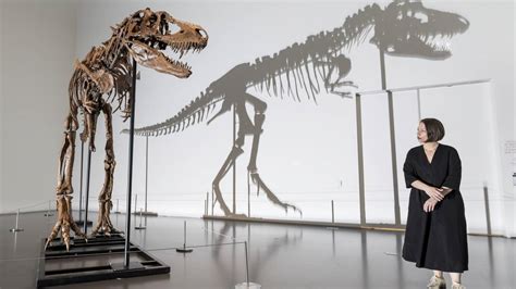 Skeleton Gorgosaurus under the hammer for more than 6 million dollars ...