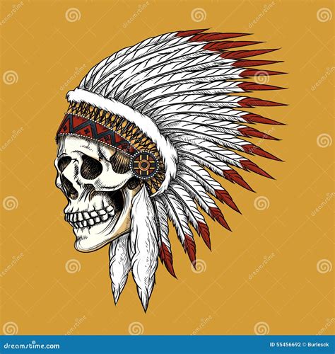 Vector Indian Skull Stock Vector Illustration Of Human