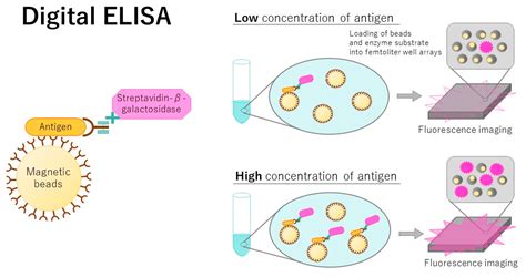 Modified ELISA For Ultrasensitive Diagnosis