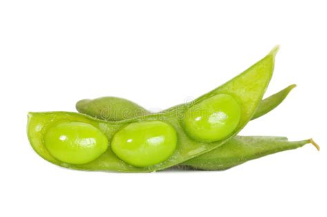 Feij Es Da Soja Do Verde De Edamame Imagem De Stock Imagem De Soja