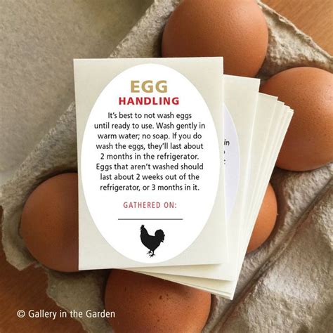 Egg Handling Instructions Printable