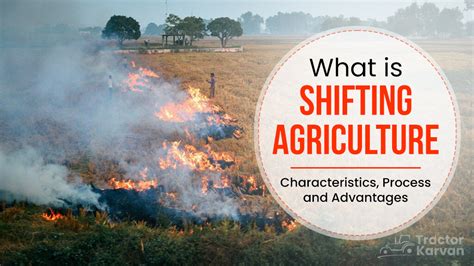 What is Shifting Cultivation, Process, Types & Advantages