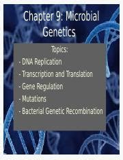 Bio 2310 Ch 9 Microbial Genetics Ppt Chapter 9 Microbial Genetics