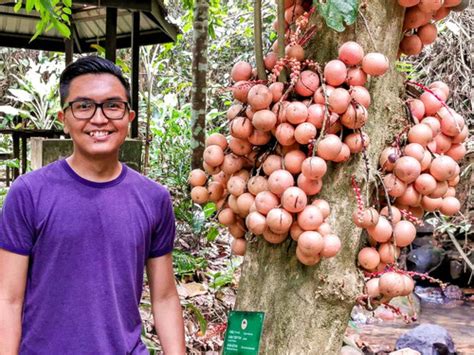 Keeping Kadazandusun cuisine alive for another generation: Kadazandusun ...