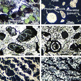 A And B Transmitted Light Photomicrographs Showing The Mineralogical