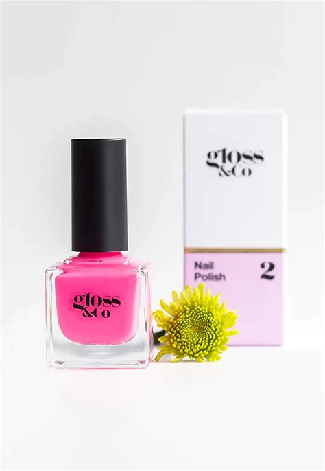 Gloss And Co Nail Polish Goose