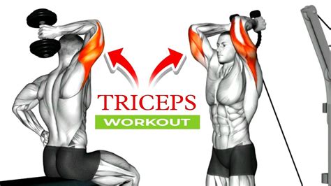 5 Best Tricep Exercises For Bigger Arms Triceps Workout Youtube