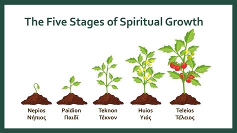 Introduction The Stages Of Spiritual Growth Youtube