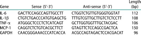 Primer Sequences Of Il 1b Il 6 Tnf A Mcp 1 And Gapdh Download