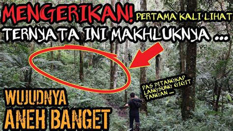 PENANGKAPAN MAKHLUK BERWUJUD ANEH DAN MENYERAMKAN DI HUTAN ANGKER