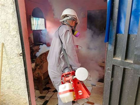 Fumigan Comunidades En Yaracuy Para Evitar Propagaci N De Enfermedades