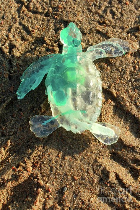 Green Baby Sea Turtle from the Feral Plastic series by Adam Long Sculpture by Adam Long - Pixels