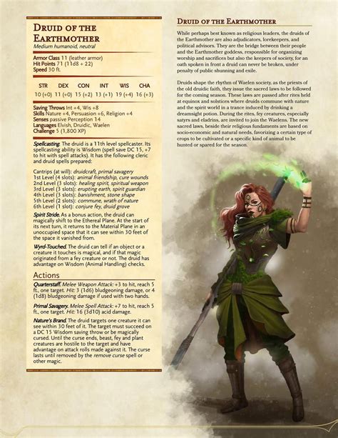 Roleplay Universes Dnd Dragons Dandd Dungeons And Dragons Dungeons And Dragons Homebrew