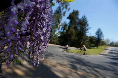 Qué día comienza la primavera en Chile