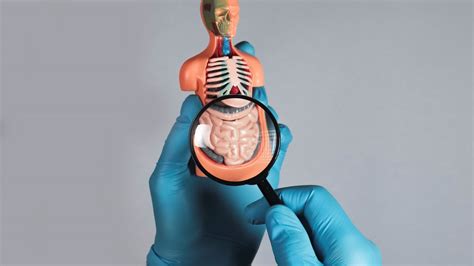 Le Syndrome De Lintestin Irritable Sii Vrai Diagnostic