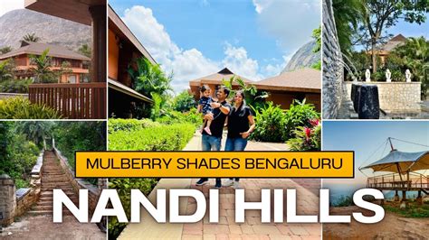 Mulberry Shades Bengaluru Nandi Hills A Tribute Portfolio Resort