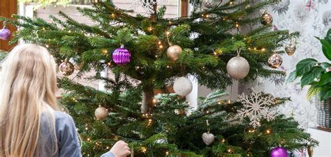 5 Reasons to Buy a Real Christmas Tree | Christmas Trees Direct