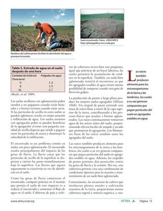 Manejo Sostenibel De Suelos Attra 1 PDF