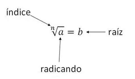 Partes De La Ra Z Cuadrada