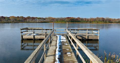 About Lake Cornelia Schools Demographics Things To Do