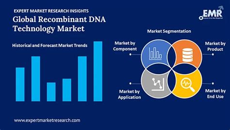 Recombinant Dna Technology Market Size Analysis