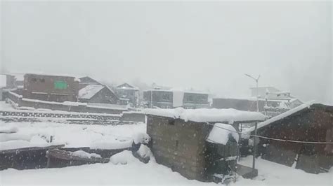 Kashmir Weather Snowfall In Kashmir Snow Blanket Covers Hilly Areas