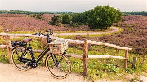 Dit Zijn De Mooiste Fietsroutes Bij Jou In De Buurt Startpagina NU Nl