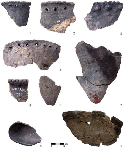 Dąbki. Mesolithic pottery. 1-5 rims; 6-7 pointed bottoms; 8-9 lamps ...