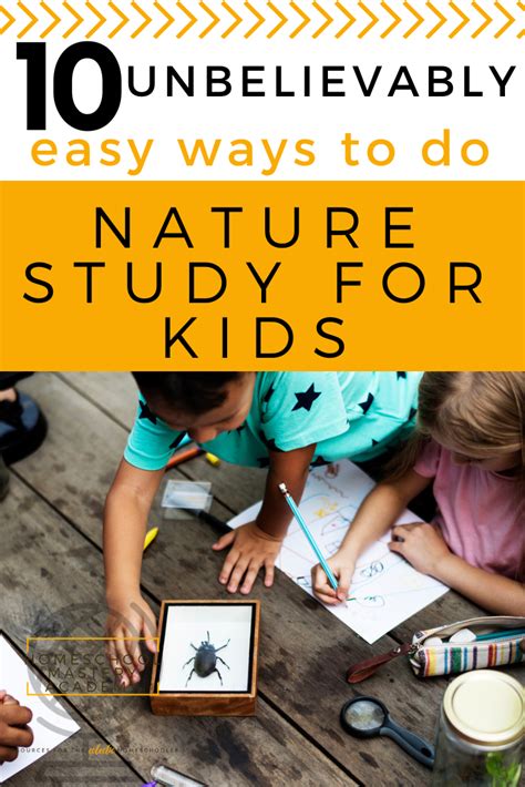 10 Unbelievably Easy Ways To Do Nature Study For Kids Homeschool