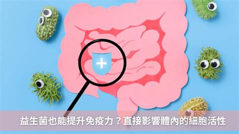 什麼？吃益生菌可以提升免疫力，營養師帶你了解益生菌的養生祕訣