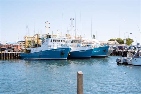 Kailis' Fish Market Fremantle - KidsGuide Places