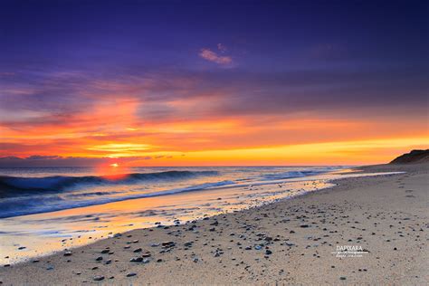 Dazzling Golden Sunrise Today On Eastham Cape Cod National Seashore