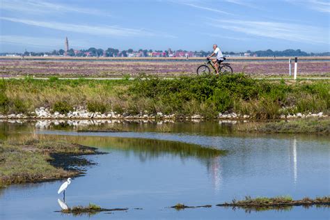 In Bicicletta Per Cavallino Treporti Camping Miramare