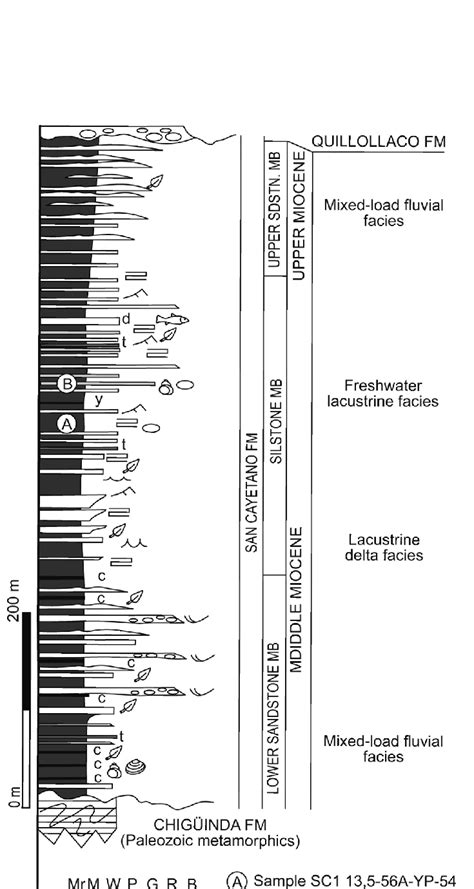 Synthetic Stratigraphy Of The Trigal And La Banda Formations In The