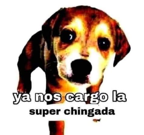 Ya nos cargó la super chingada Memes nuevos Imágenes graciosas