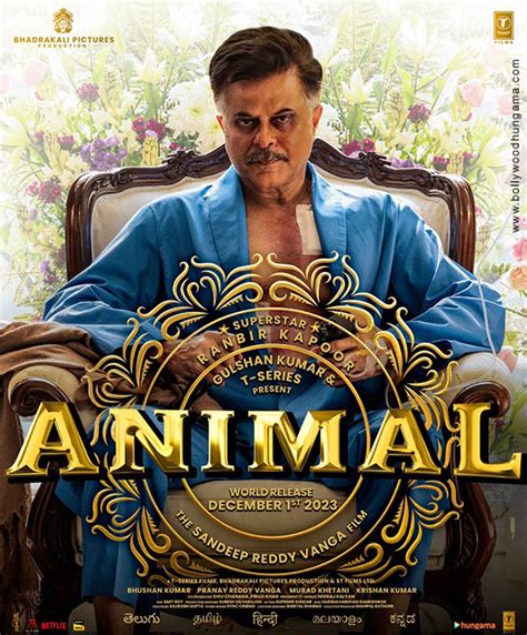 Animal First Look Bollywood Hungama